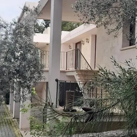 House In Nature