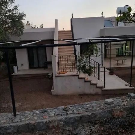 House In Nature *