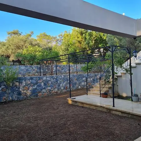 Villa House In Nature