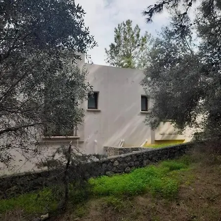 House In Nature *
