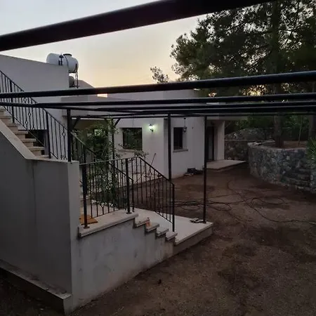 Villa House In Nature